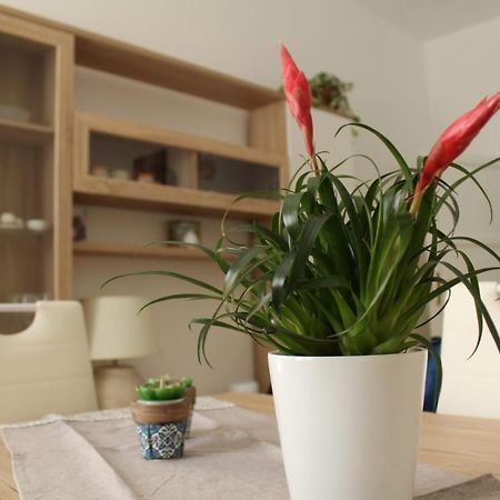 Ohana: Casa Nel Centro Di Lecce Exteriör bild