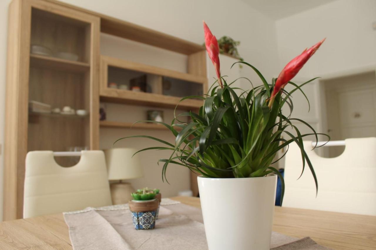 Ohana: Casa Nel Centro Di Lecce Exteriör bild